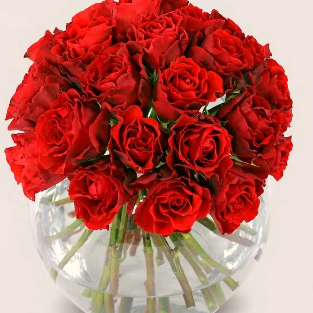 Arranjo Elegante: 20 Rosas Colombianas em Vaso de Vidro, imagem ilustrativa