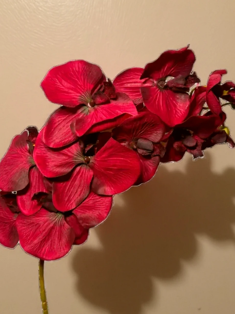 Orquídea Vermelha Atificial, imagem ilustrativa