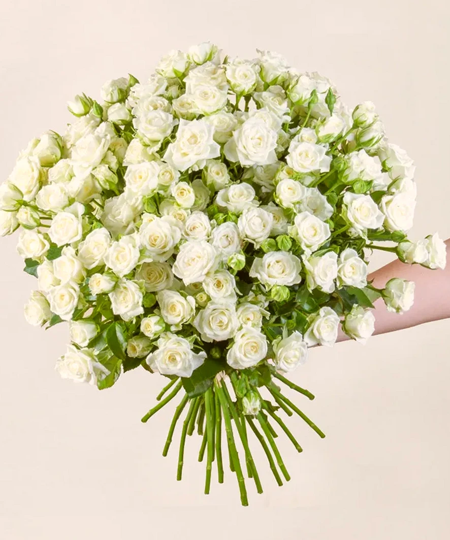 Pureza Absoluta com 100 Mini Rosas, imagem ilustrativa