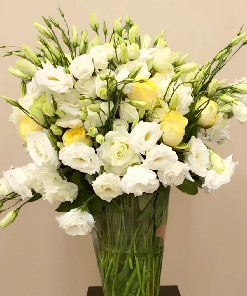 Felicidade Branca Lisianthus com Vaso vidro, imagem ilustrativa