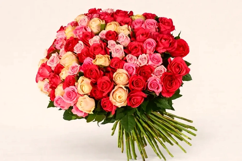 Amor Perfeito (100 Rosas Colombianas), imagem ilustrativa