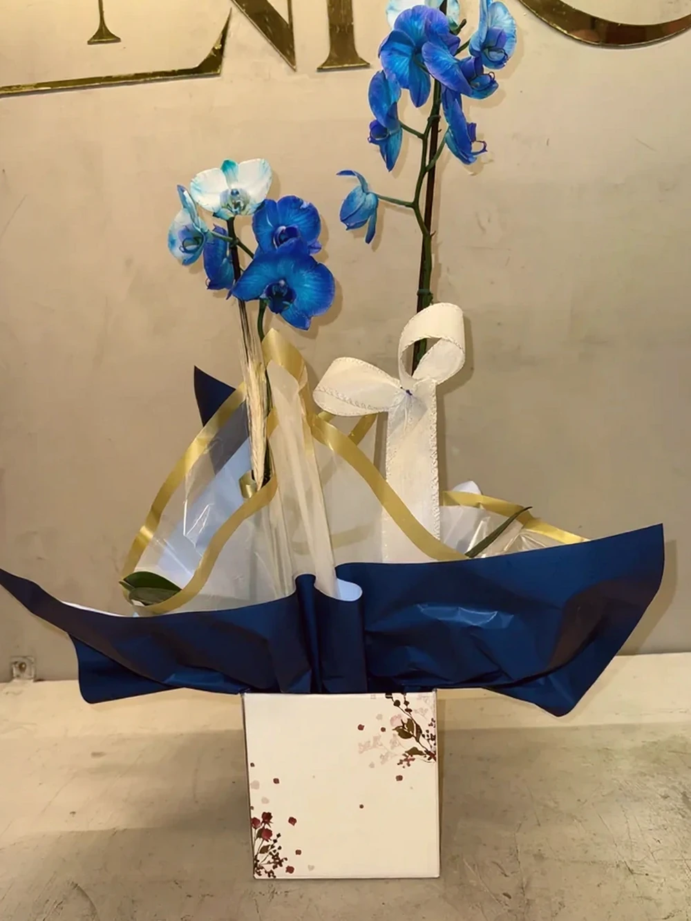 Orquídea Azul com Embalagem Elegante, imagem ilustrativa