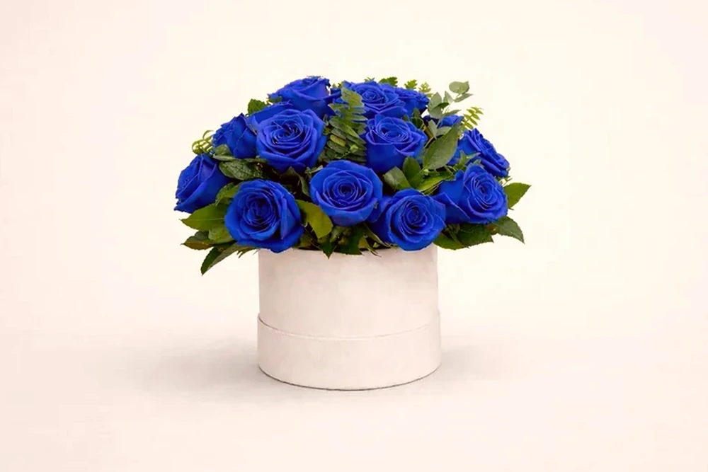 Caixa Azul Royal – 25 Rosas Azuis, imagem ilustrativa