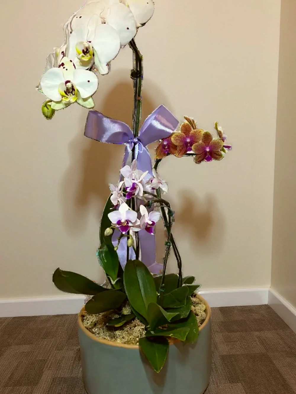 Arranjo Elegante de Três Orquídeas em Vaso de Cerâmica, imagem ilustrativa