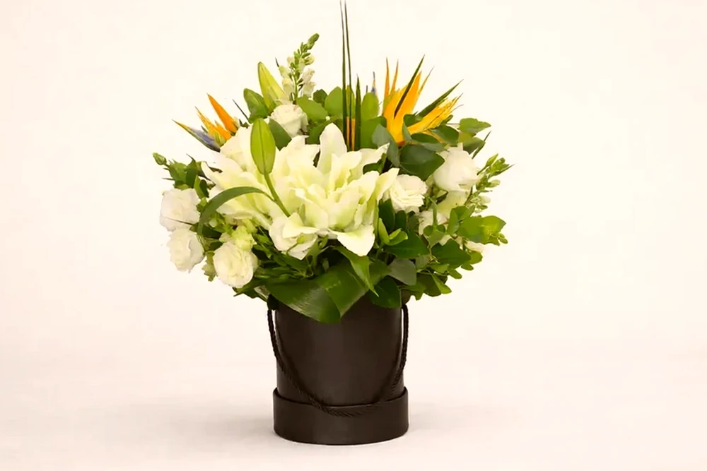 Arranjo de Flores Exóticas em Caixa Preta - Elegância e Distinção, imagem ilustrativa